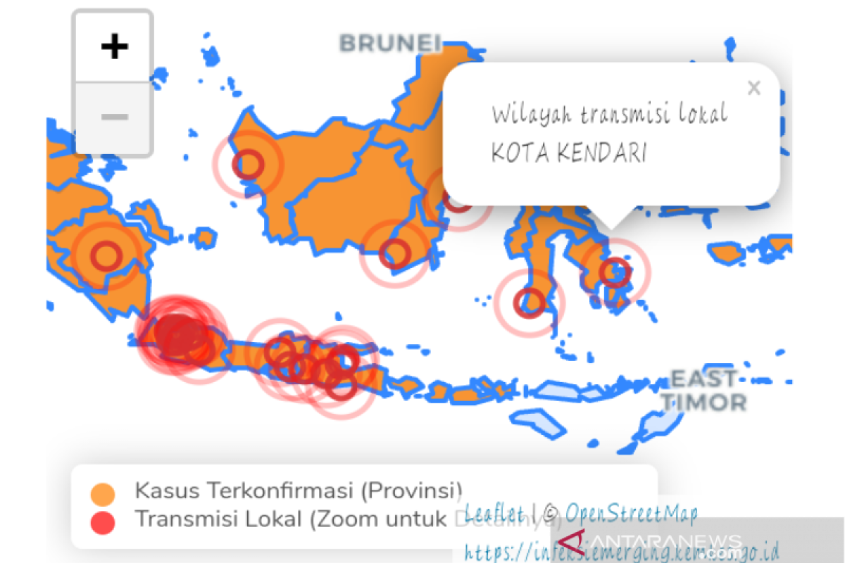 Kota Kendari jadi wilayah transmisi lokal penyebaran COVID-19