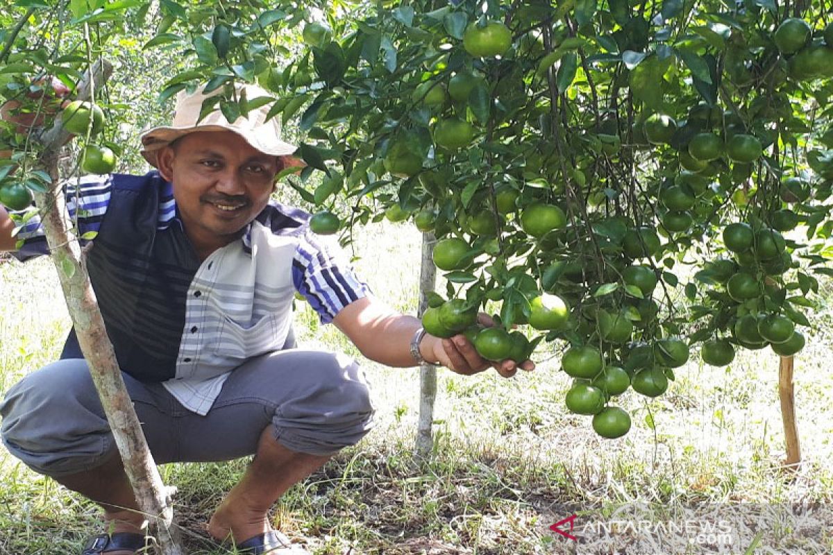 PDIP nilai petani diabaikan dalam penanganan COVID-19