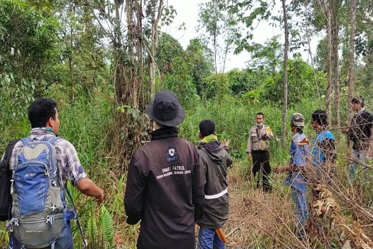 Pemasangan kamera trap di lokasi korban dimangsa harimau di Besitang Langkat