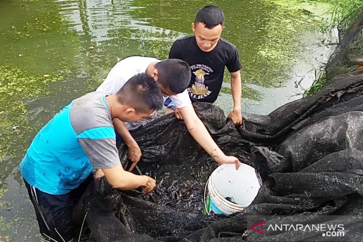 Swakarya mahasiswa Polbangtan Medan tambah uang saku di tengah wabah COVID-19