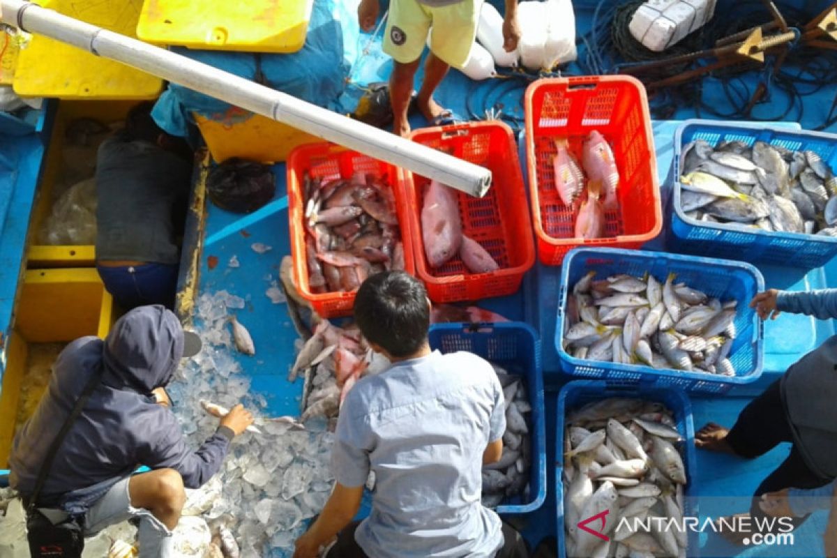 Pemkab Kayong Utara tampung ikan nelayan Pulau Karimata