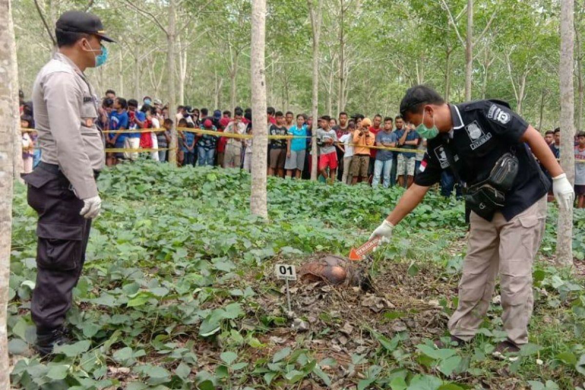 Pengangon ternak di Simalungun temukan mayat remaja di areal perkebunan