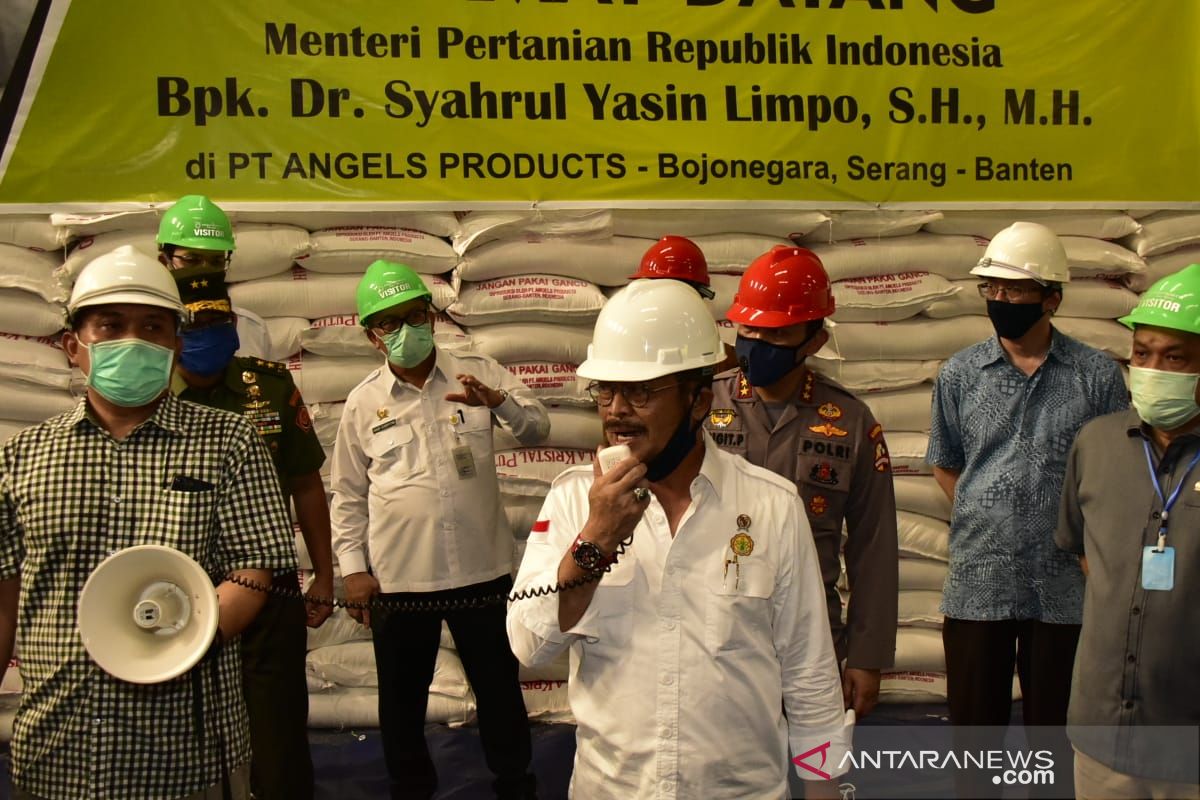 Pemerintah segera pasok 250.000 ton gula pasir ke pasar