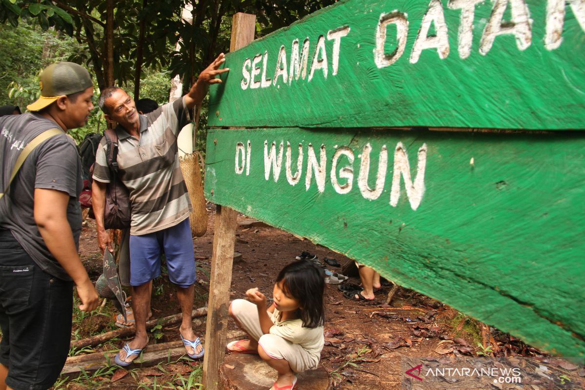 Hutan Wungun Orang Mapnan di Long Duhung