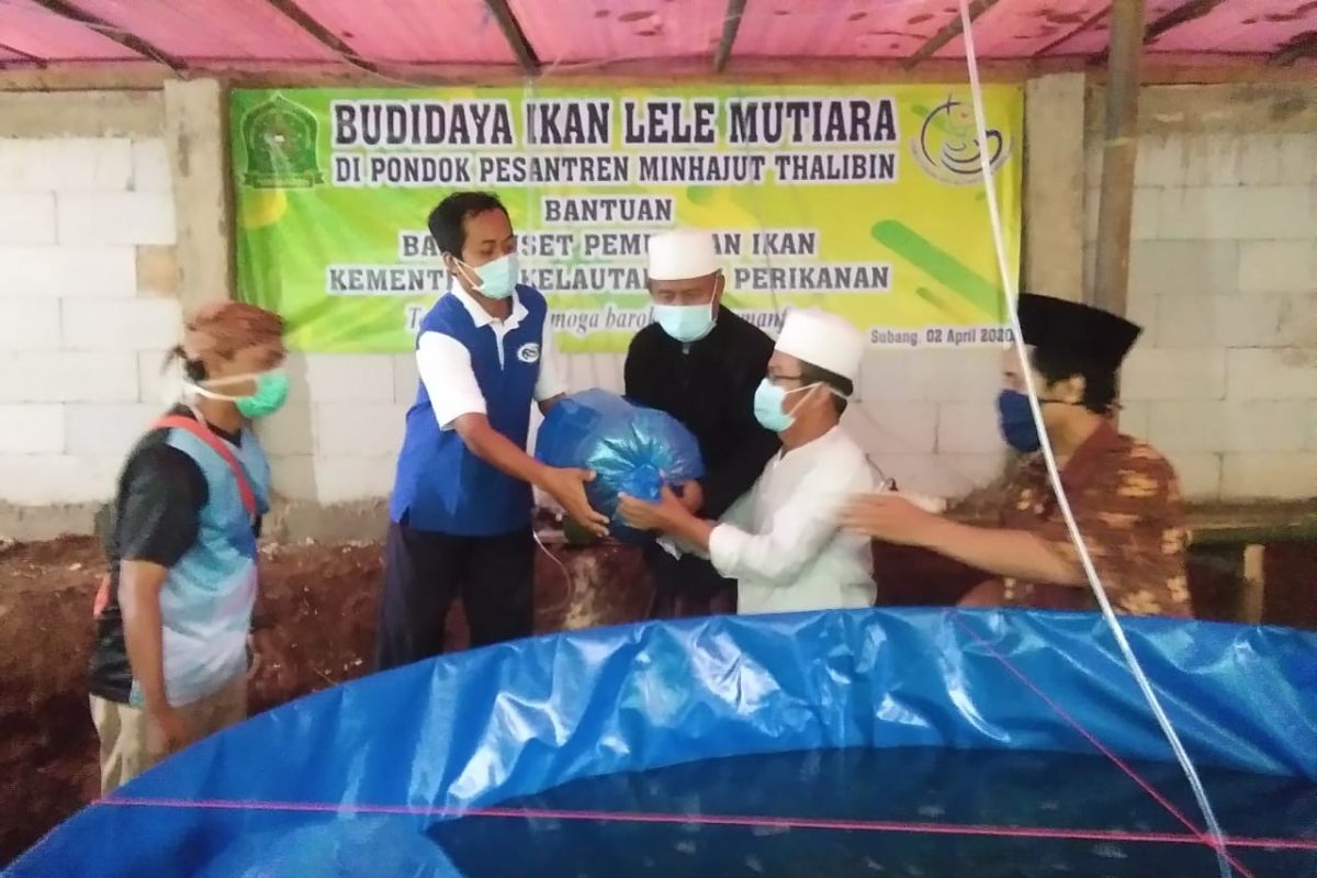 KKP distribusi benih lele hasil riset unggul ke pondok pesantren