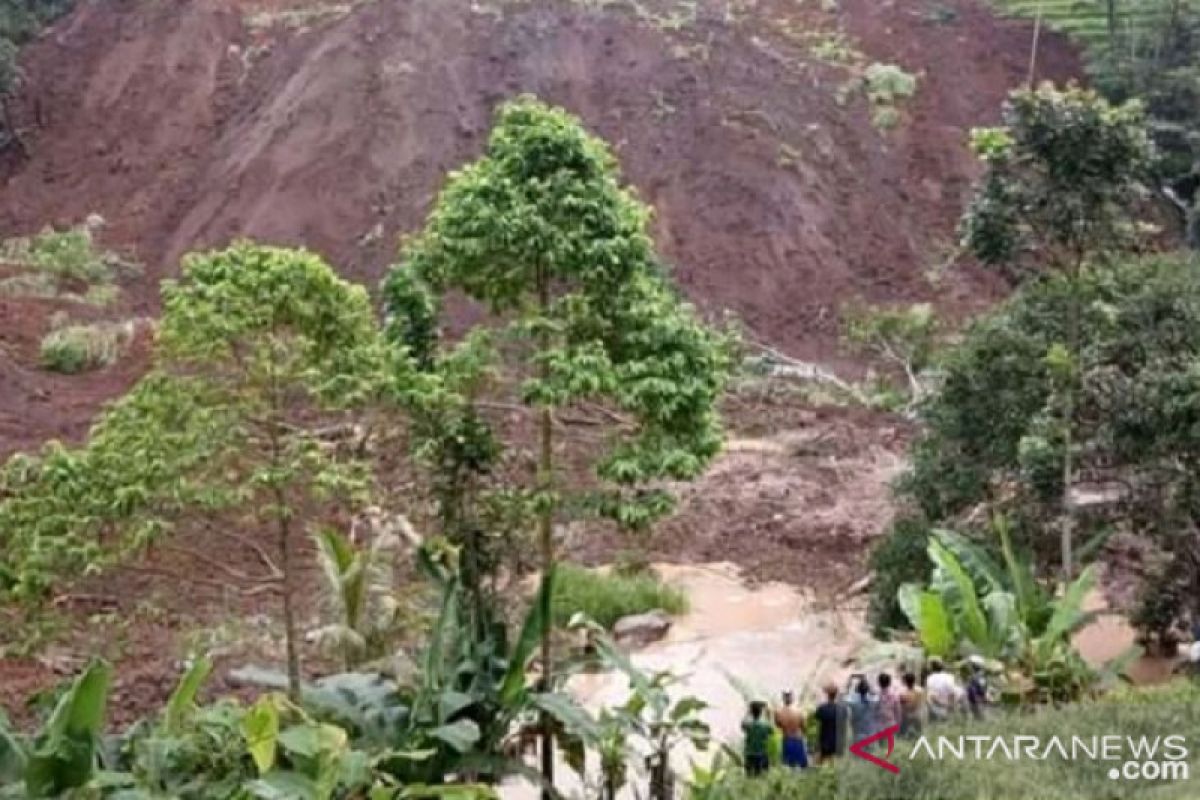 Tiga hektare lahan pertanian di Sukabumi gagal panen diterjang longsor