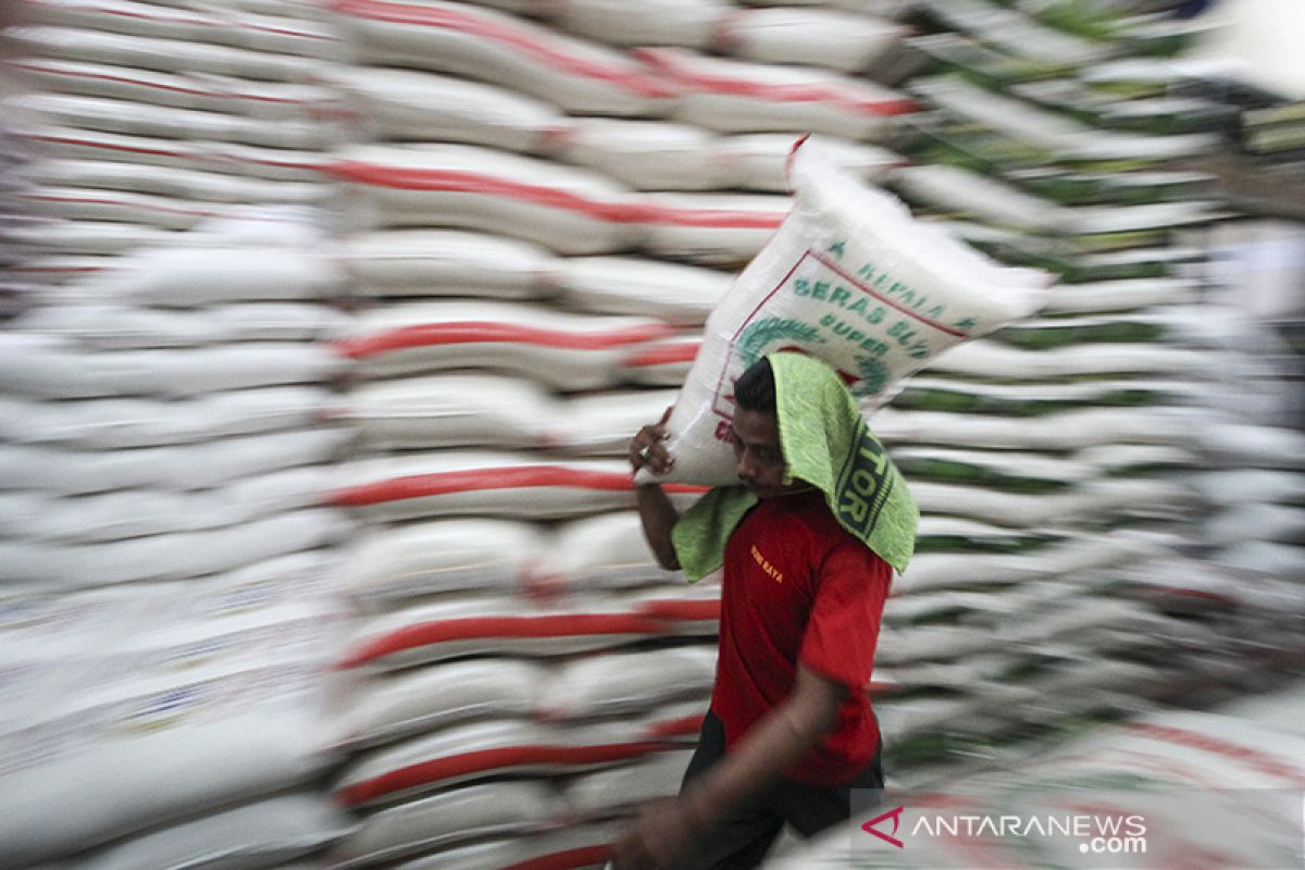 Pengamat: Jaga distribusi barang agar tidak terjadi "panic buying"