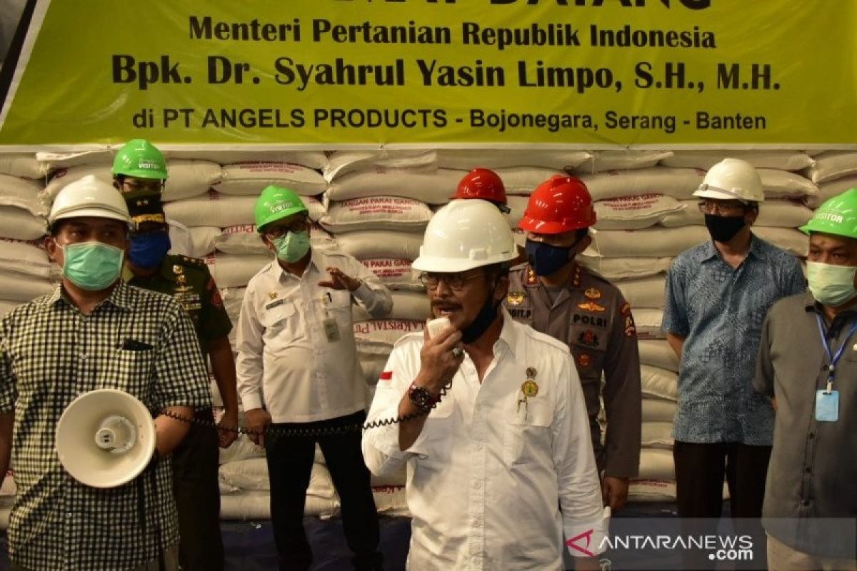 Guna stabilkan harga, pemerintah segera gelontorkan 250.000 ton gula pasir ke pasar