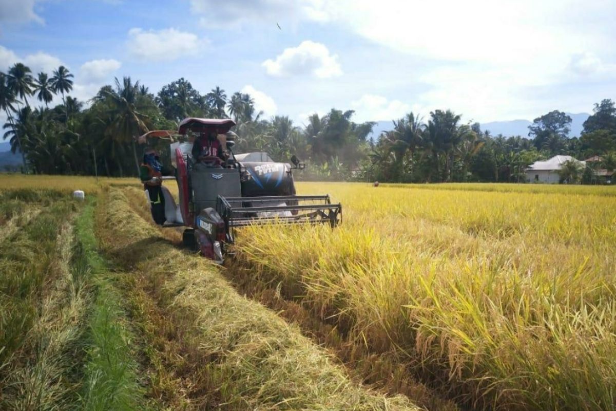 Wujudkan kedaulatan pangan, Lampung Selatan segera realisasikan LP2B