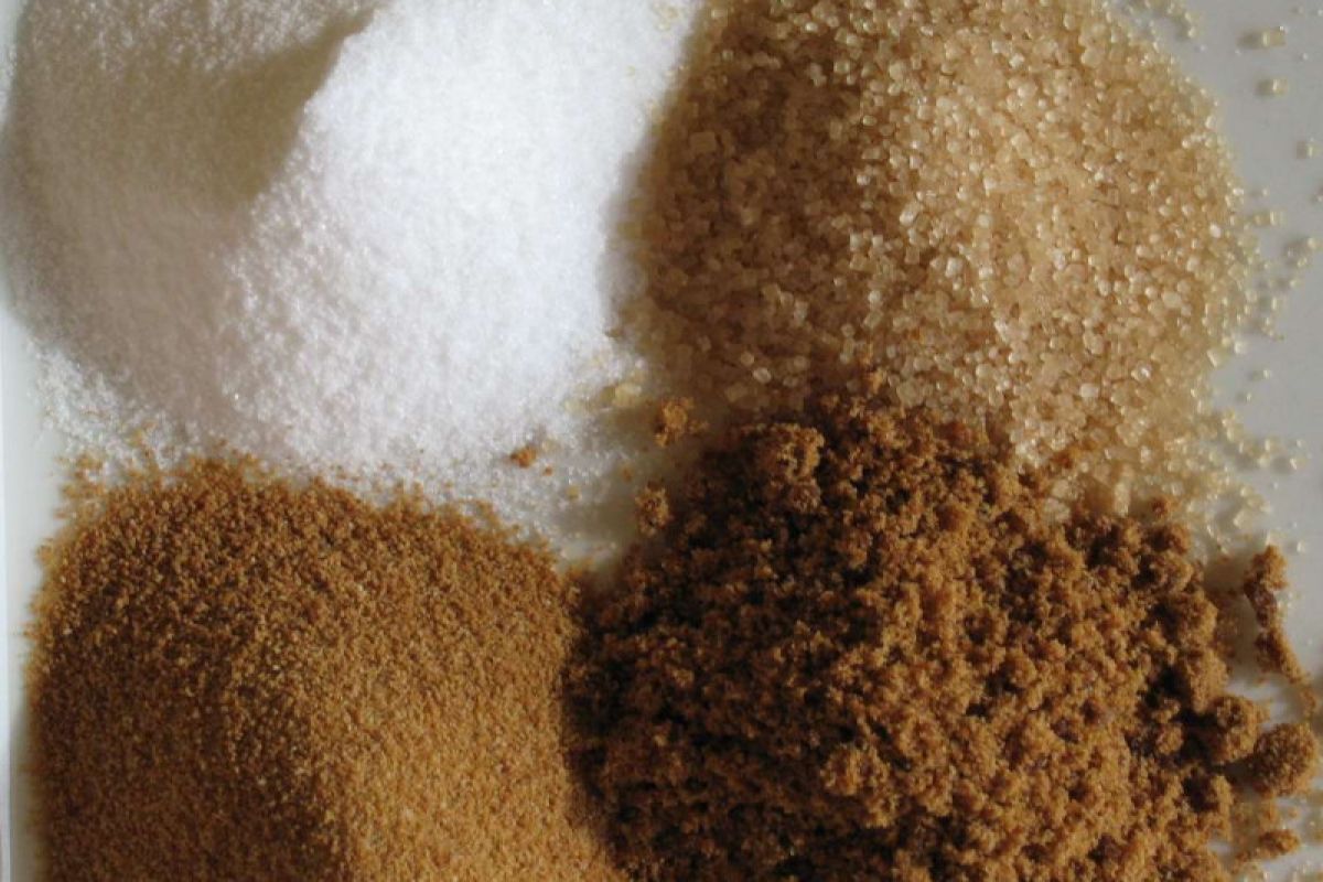 Anggota Komisi IV DPR: Pemerintah diharapkan benahi kinerja industri gula domestik