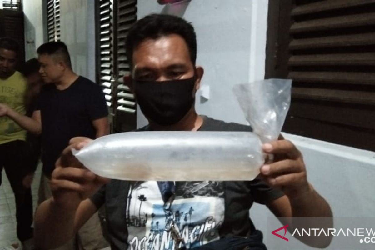 Polisi dan BKIPM Jambi lepasliarkan 30.000 benih lobster di perairan Berhala