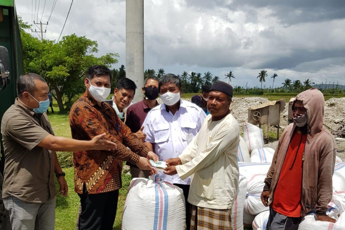 Bulog NTB menargetkan serap gabah petani sebanyak 97.638 ton