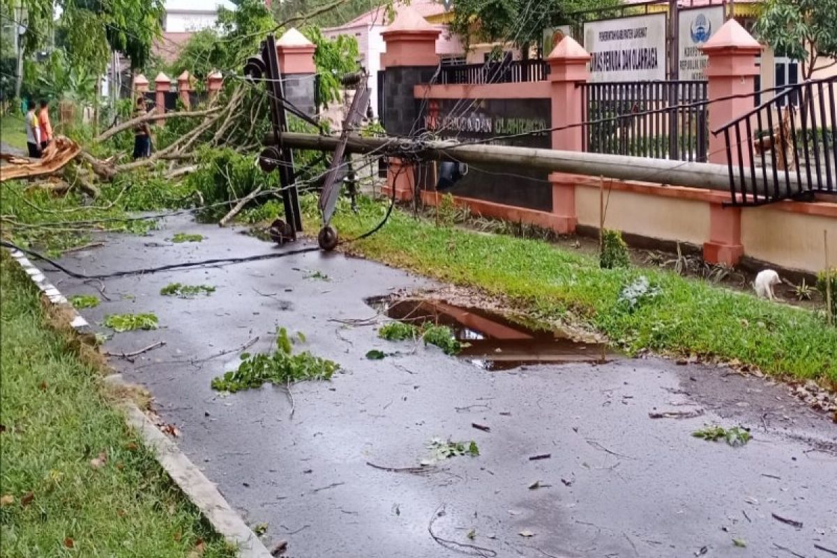 Hujan disertai angin kencang, pohon dan tiang listrik di Langkat tumbang