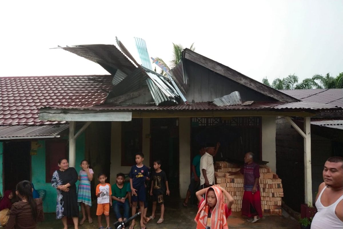 Empat rumah rusak tertimpa pohon di Aceh