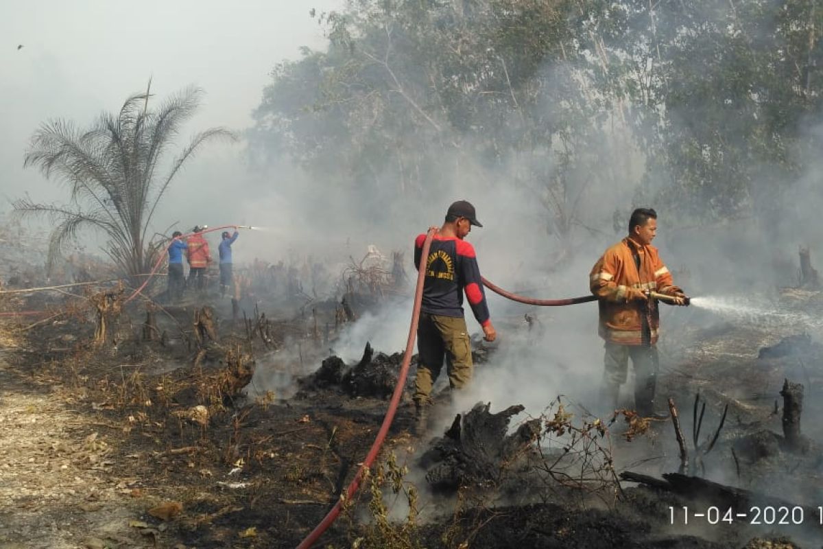 Tiga hektare lahan gambut ditanami sawit terbakar di Langsa