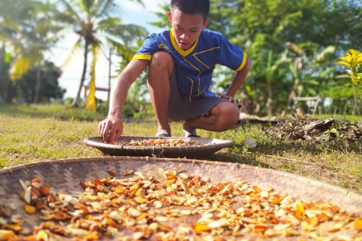 Konsumsi jamu anticorona Warti laris manis selama pandemi COVID-19