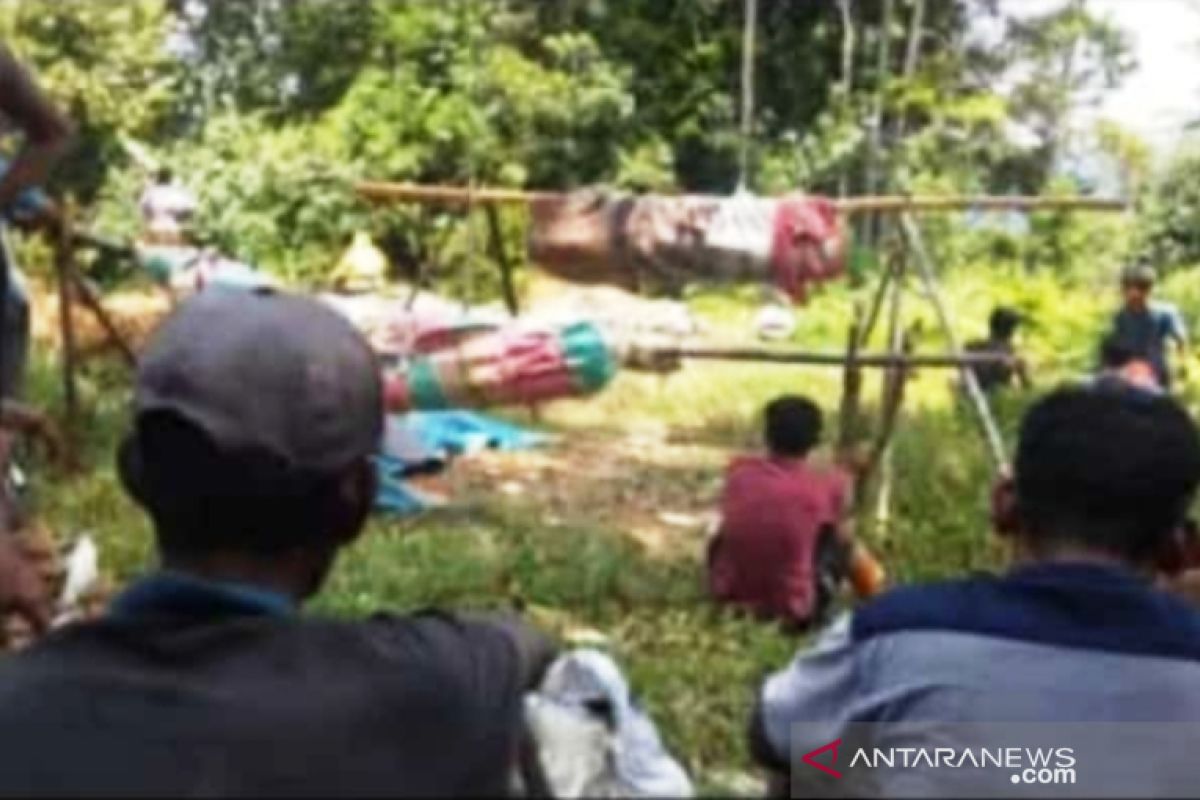 Tertimpa pohon, dua pendulang emas meninggal dunia di Aceh Barat