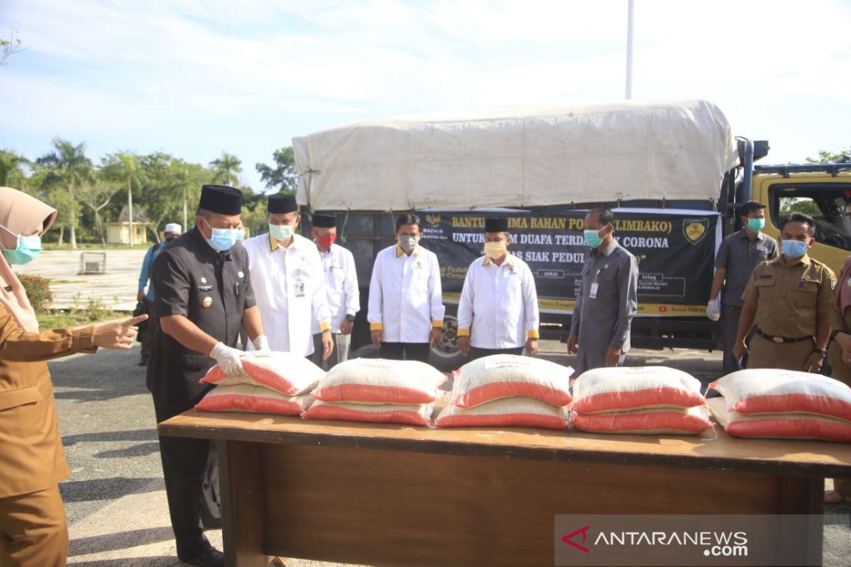 Mustahik binaan Baznas Riau panen raya ubi