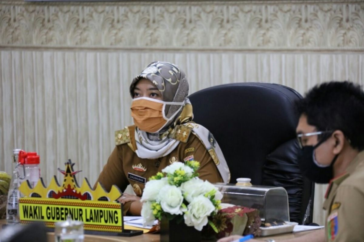 Wagub Lampung dorong pertumbuhan ekonomi Lampung Barat