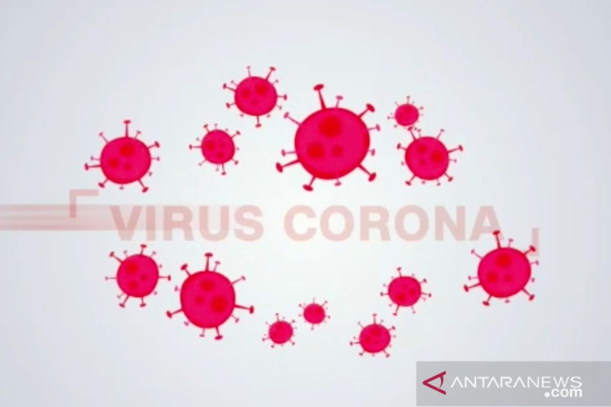 Bayi dua bulan terinfeksi virus corona