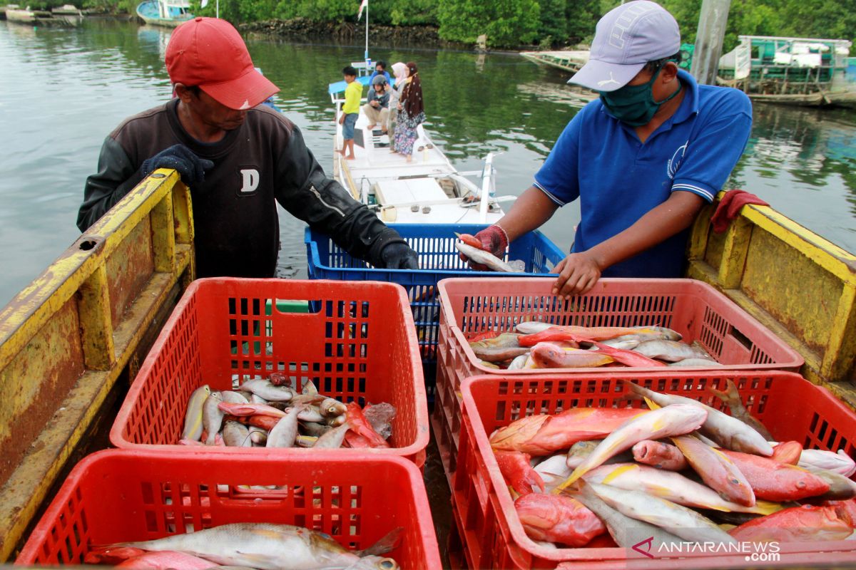 KKP nyatakan optimisme nelayan melaut di tengah COVID-19 masih tinggi