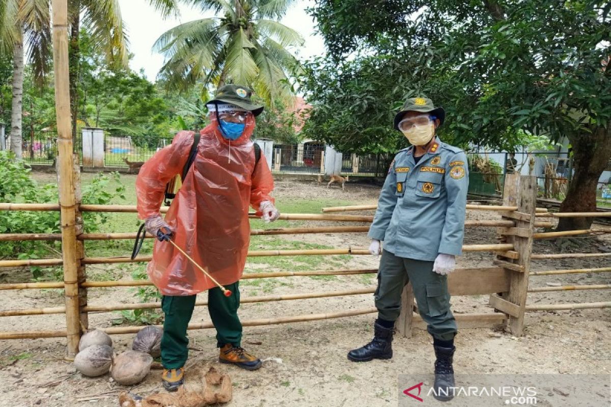 Tempat penangkaran buaya dan rusa di Kendari disemprot disinfektan