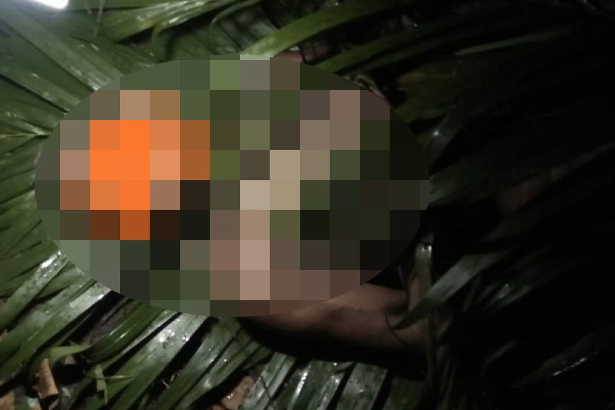 Seorang warga tewas digigit dan diseret buaya muara ke dasar sungai Nanggang di Agam