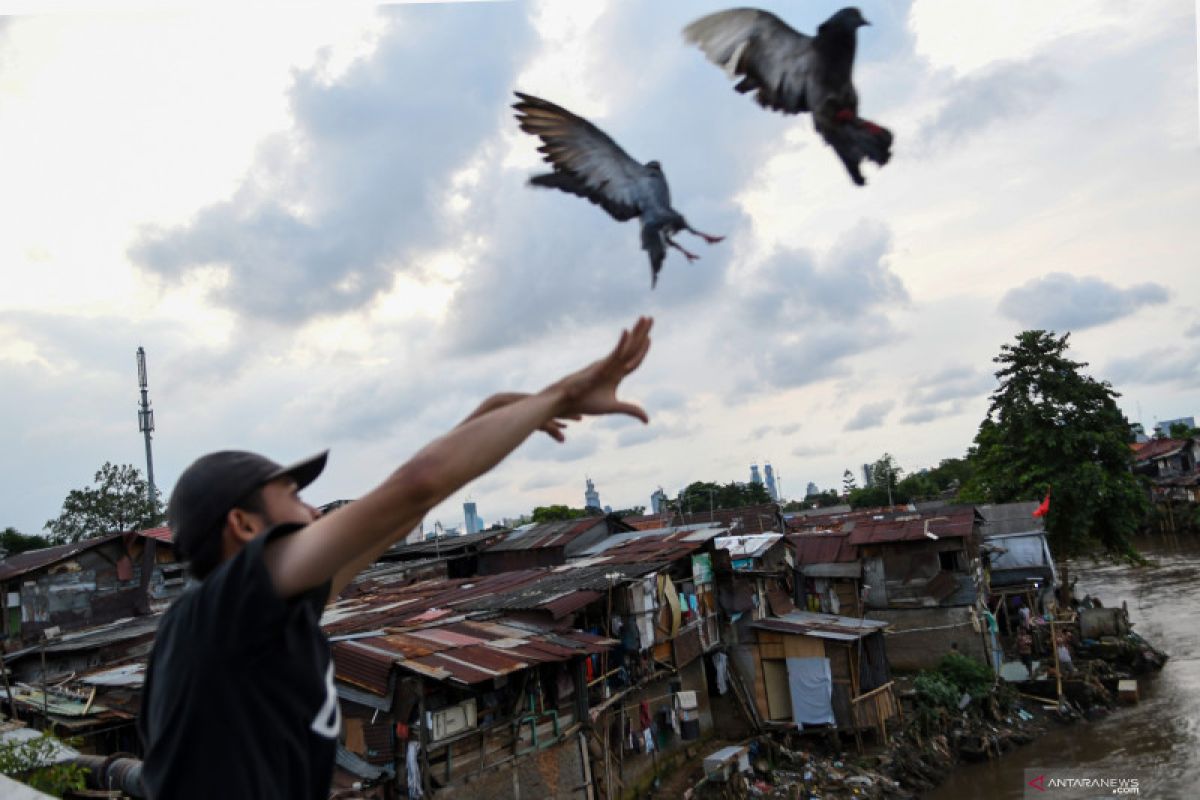 Jakarta applies biosecurity to prevent bird flu spread