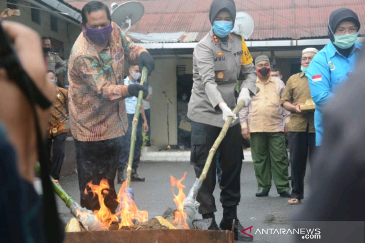 Polres Padangsidimpuan musnahkan ratusan kg ganja kering