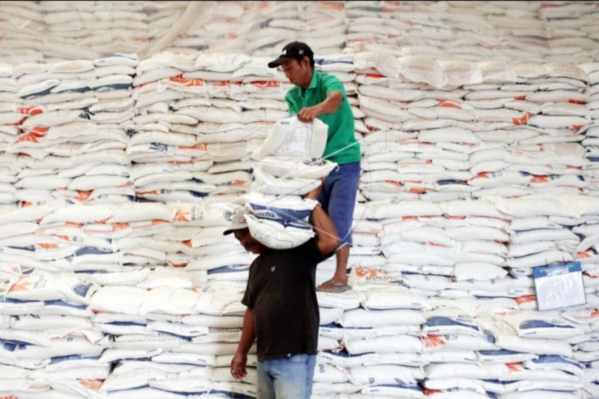 Makassar city government ensures sufficient rice stocks until Oct 2020