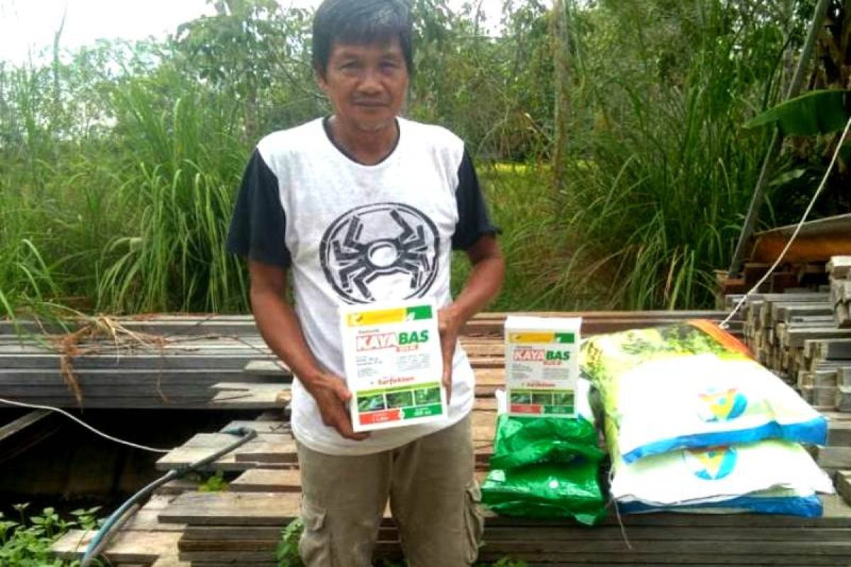 Dinas Pertanian Gumas distribusikan bantuan benih jagung hibrida