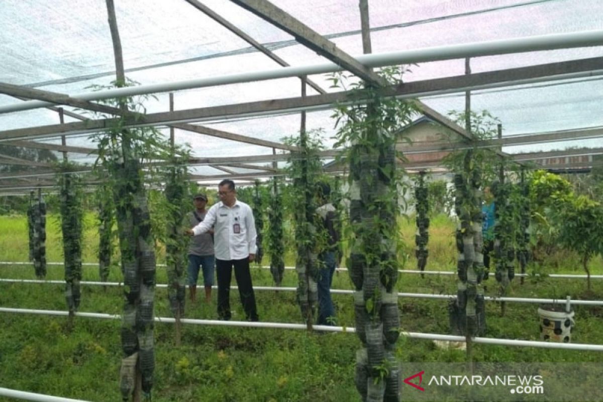 Ketersediaan komoditas hortikultura jelang Ramadhan aman