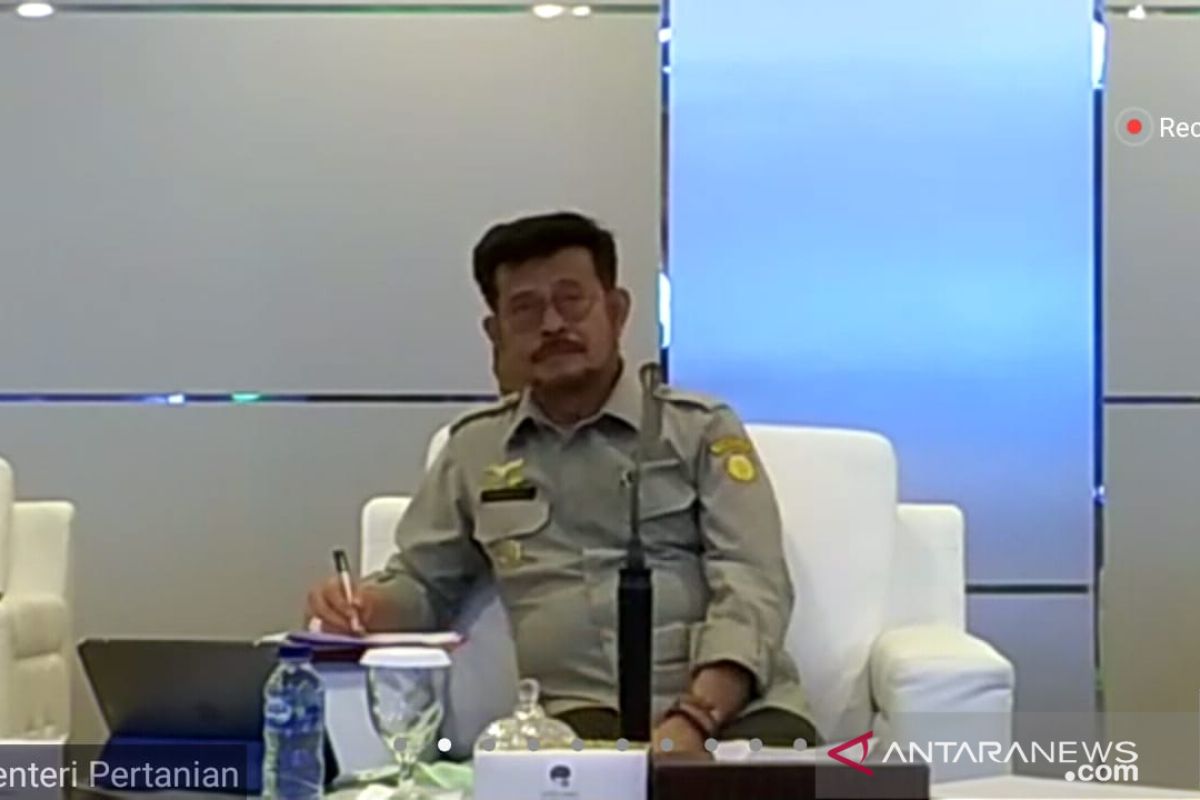 Menteri Pertanian jamin stok beras aman selama pandemi COVID-19