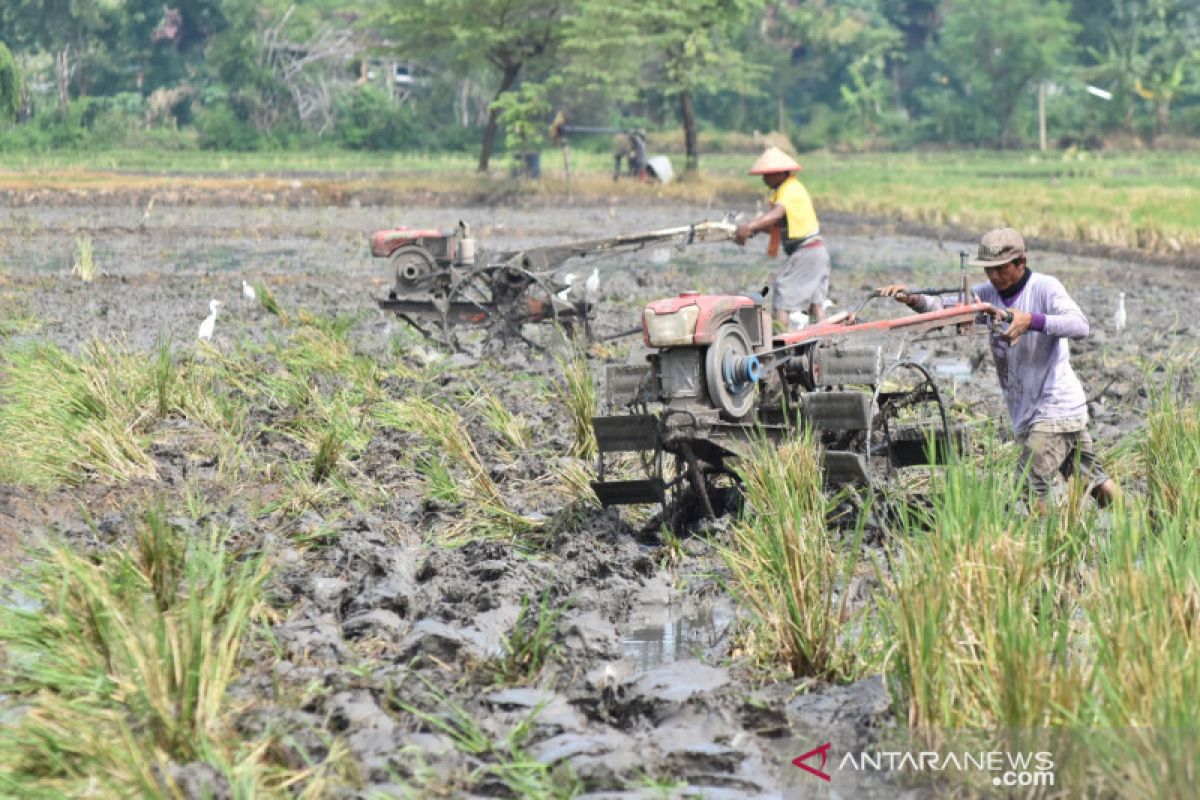 Komisi IV DPR usulkan tambahan dana untuk petani Rp2,44 triliun