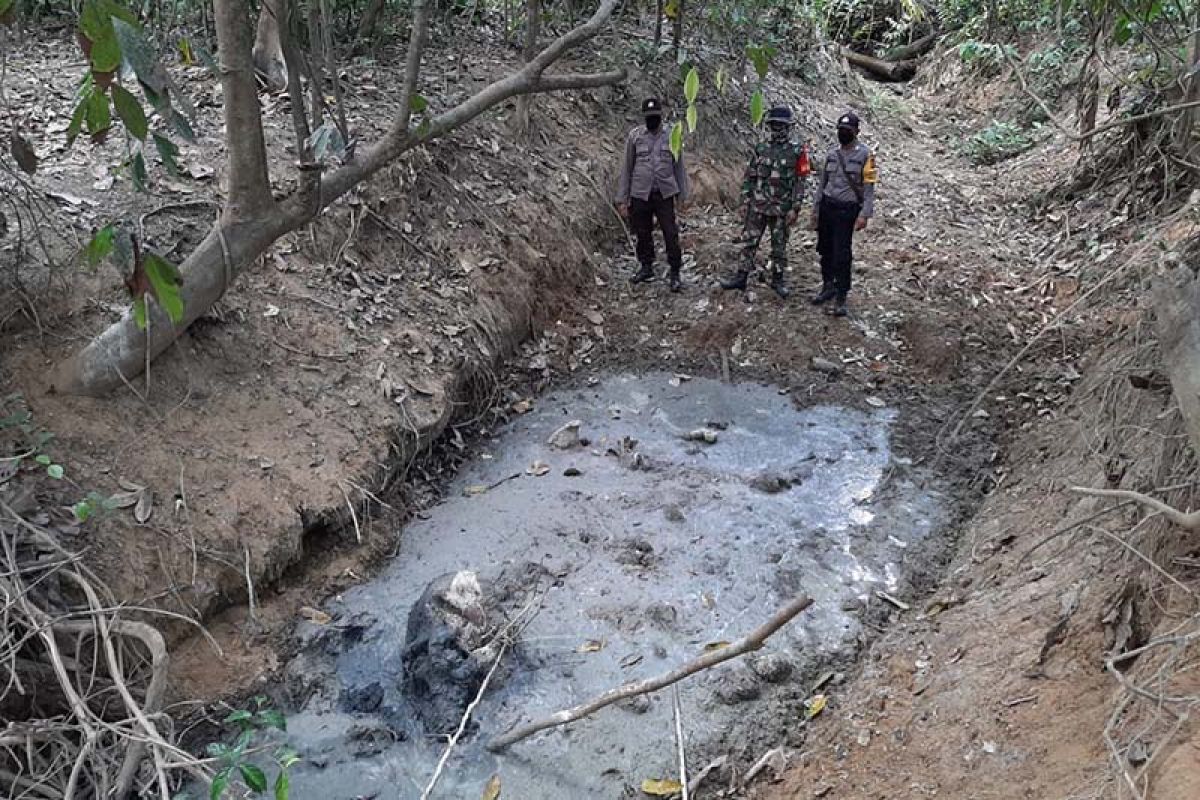 Gajah sumatra ditemukan jadi bangkai