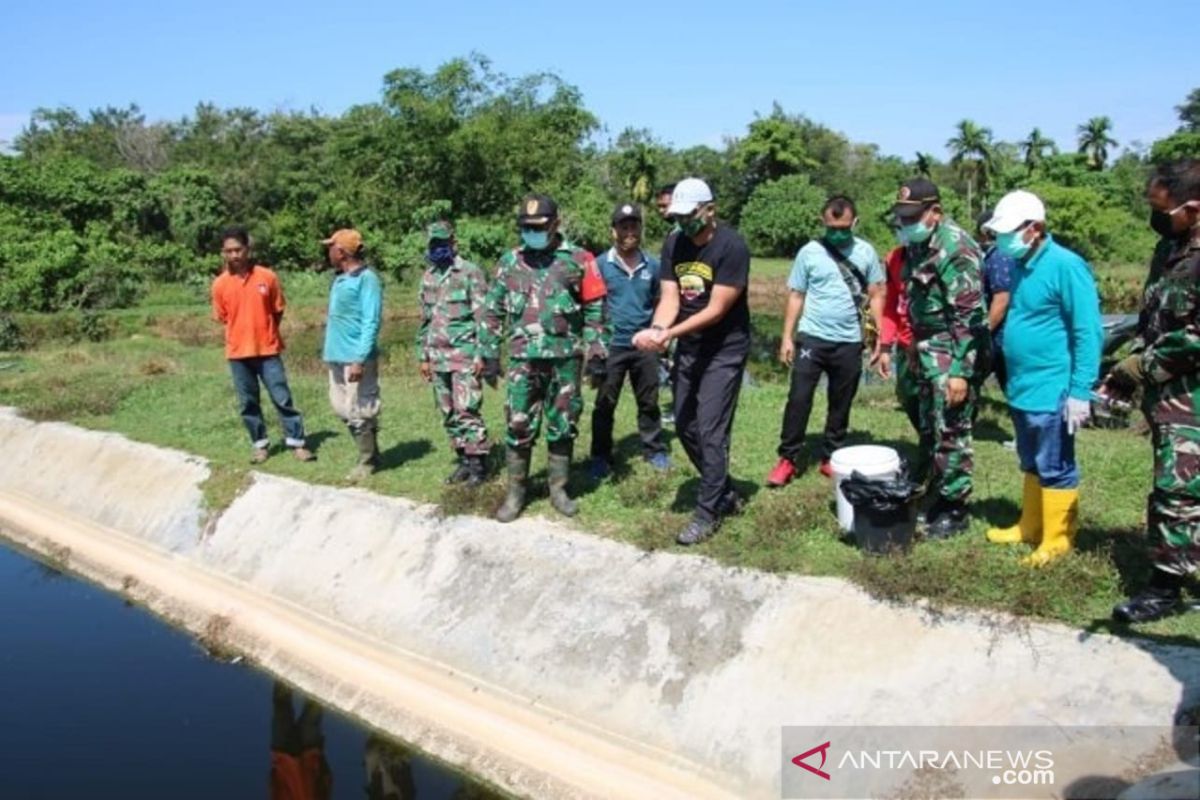 Danrem 032/Wbr tebarkan bibit lele di kolam limbah TPA tingkatkan ketahanan pangan