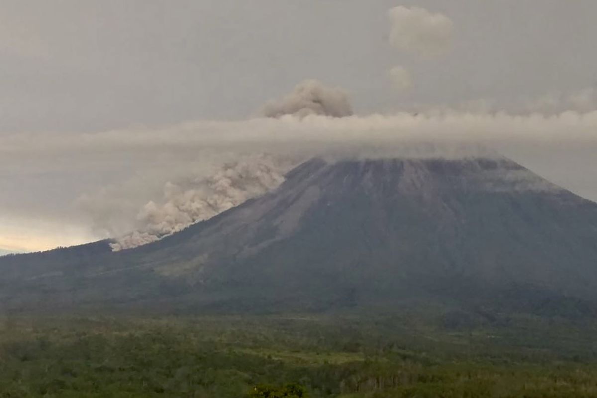 Aktivitas Gunung Semeru meningkat