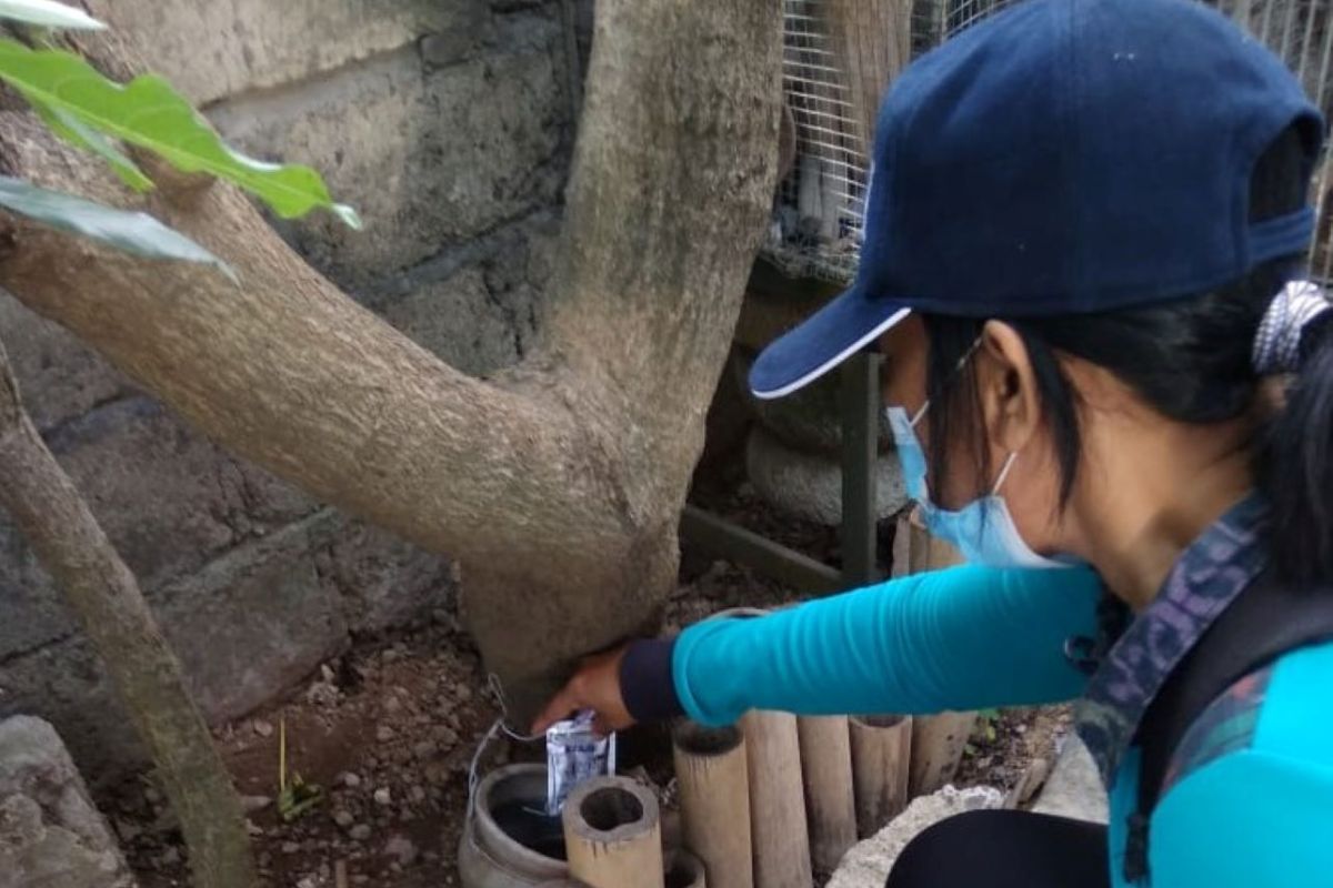 Pemkot Denpasar minta warga tingkatkan kewaspadaan penyakit DBD