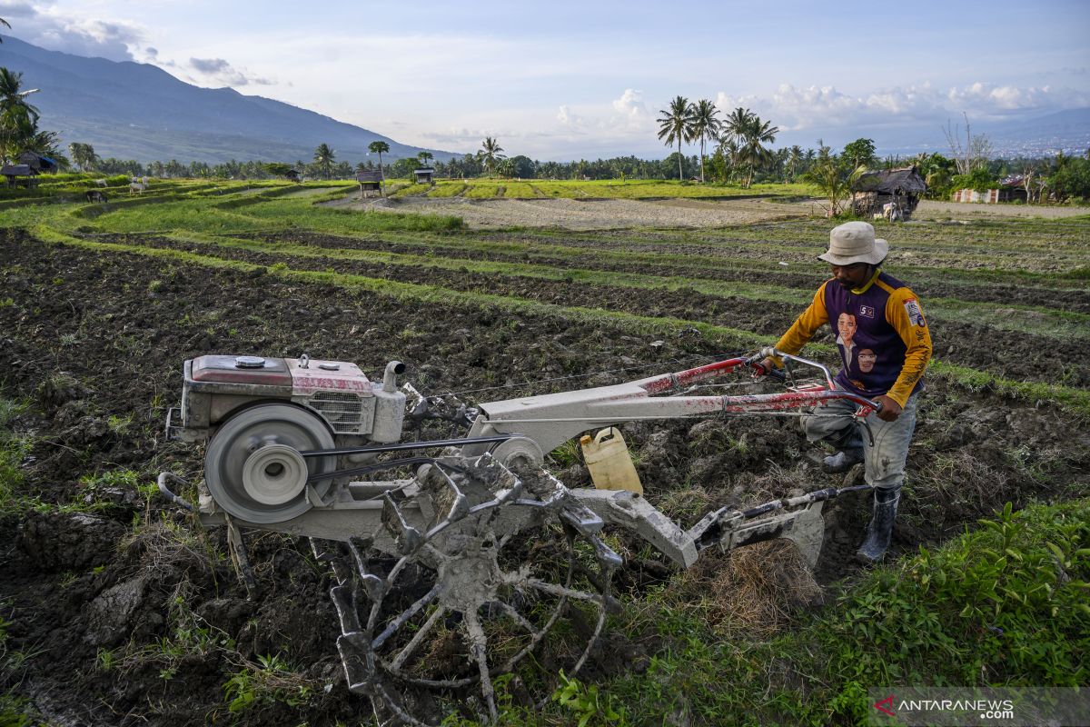 Lindungi petani sebagai garda terdepan pangan saat pandemi