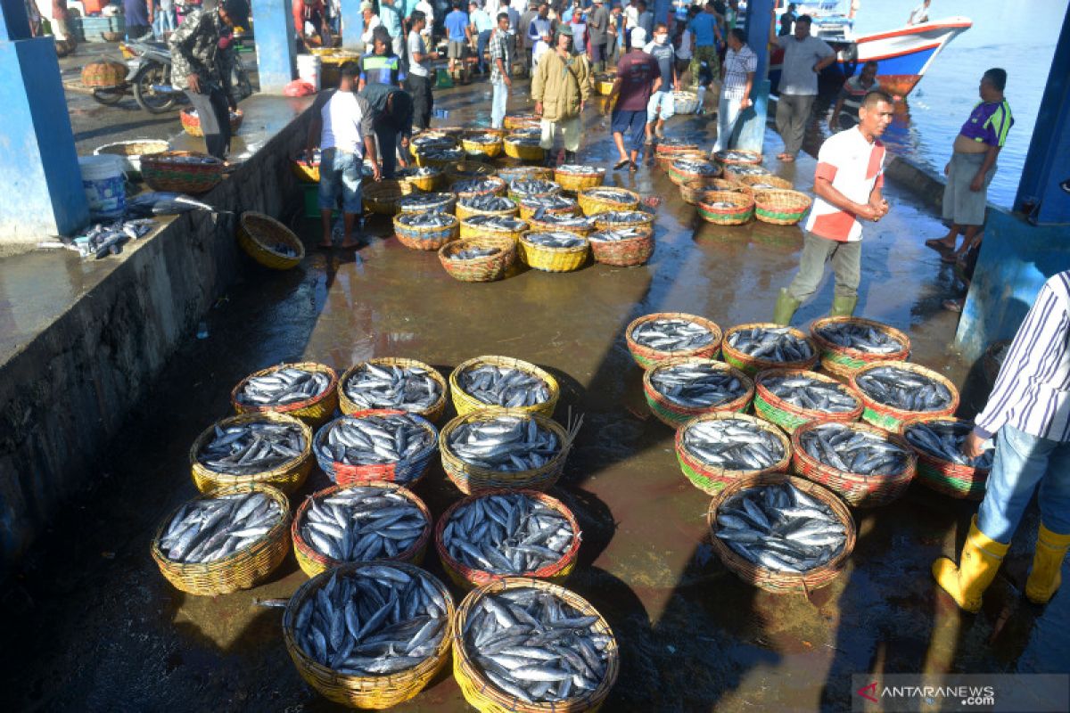 Penundaan pembayaran retribusi di pelabuhan perikanan Kalteng