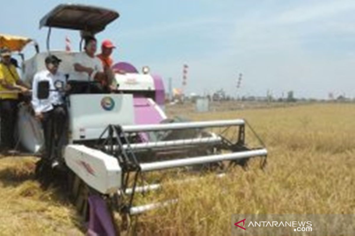 Bulog pantau panen petani Kalimantan Selatan