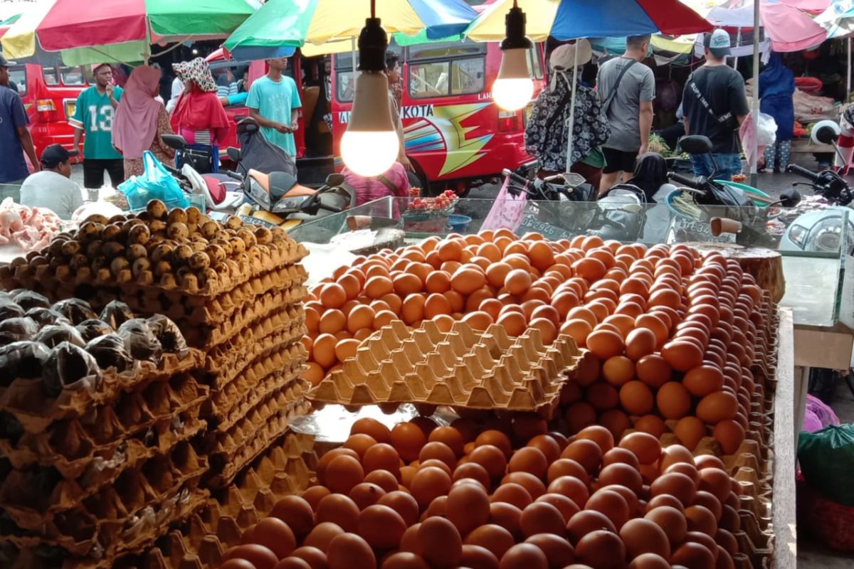 Harga telur ayam ras di pasar tradisional Ambon bervariasi