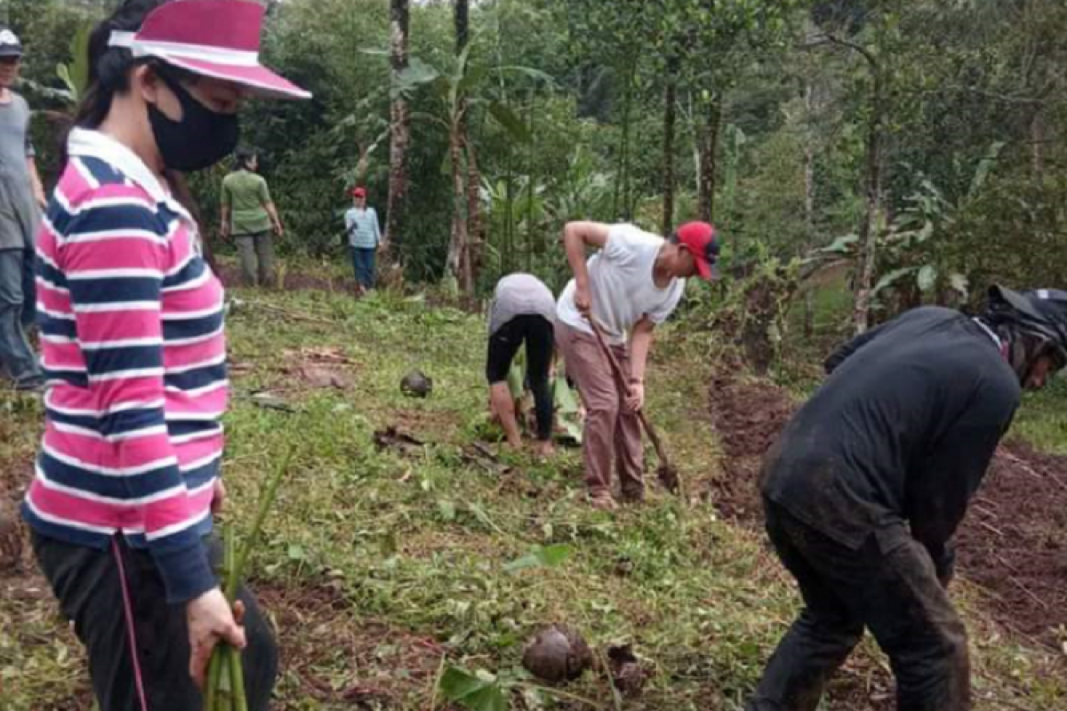 Umat Paroki Kembes Tanam Bahan Pangan Antisipasi Krisis Ekonomi