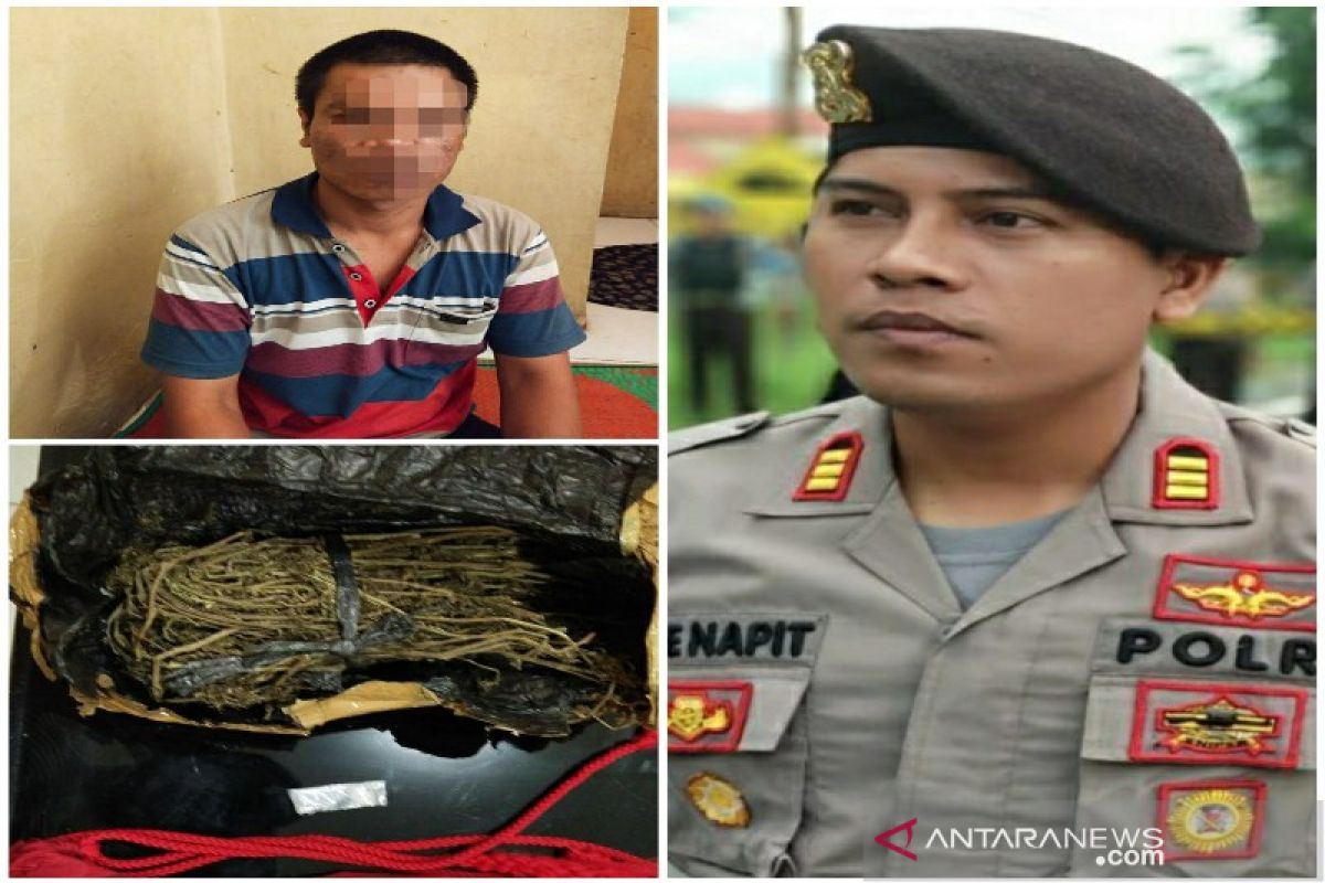 Polisi Tapteng amankan satu paket sabu dan 100 gr ganja kering