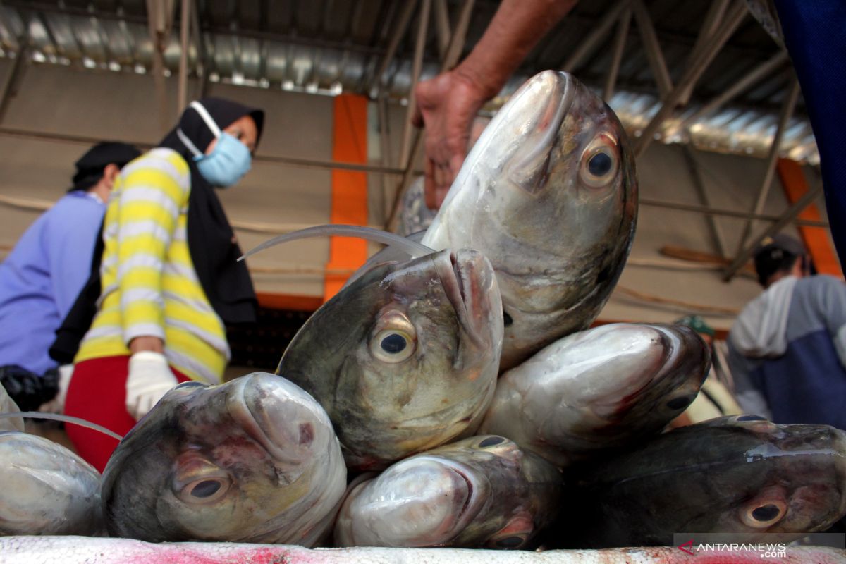 KKP-Kementerian BUMN konsepkan penyerapan tangkapan hasil nelayan