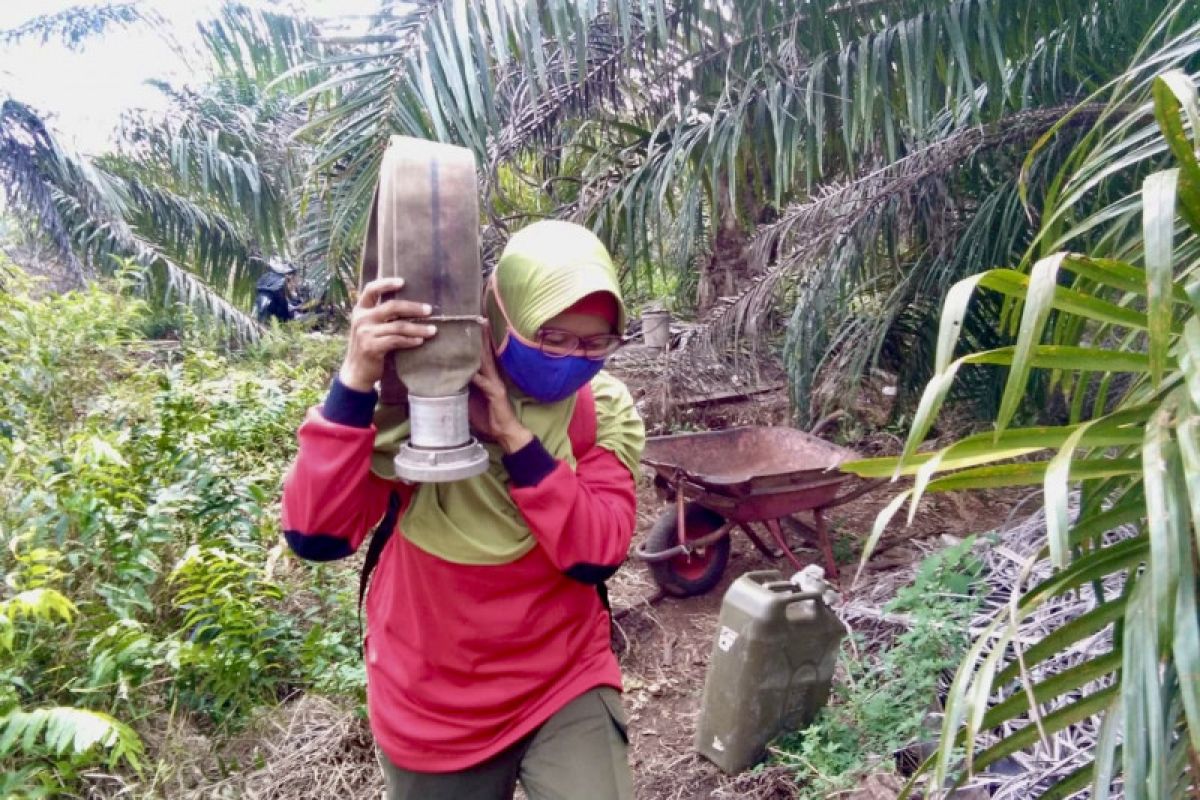 Guru Besar UI anjurkan warga di kawasan rawan asap karhutla direkomendasikan menggunakan masker N95, termasuk Jambi