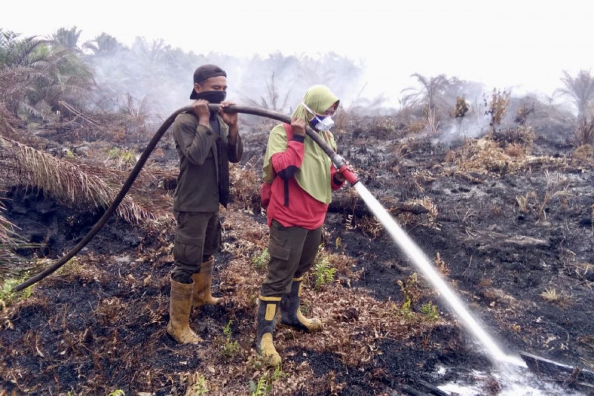 Pakar UI: Cegah beban ganda karhutla di tengah pandemi COVID-19