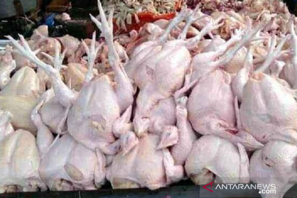 Waduh, harga ayam potong di Sukabumi anjlok di bawah Rp10.000/kg