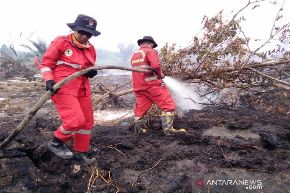 Manggala Agni Sulawesi Tenggara siaga di daerah rawan karhutla