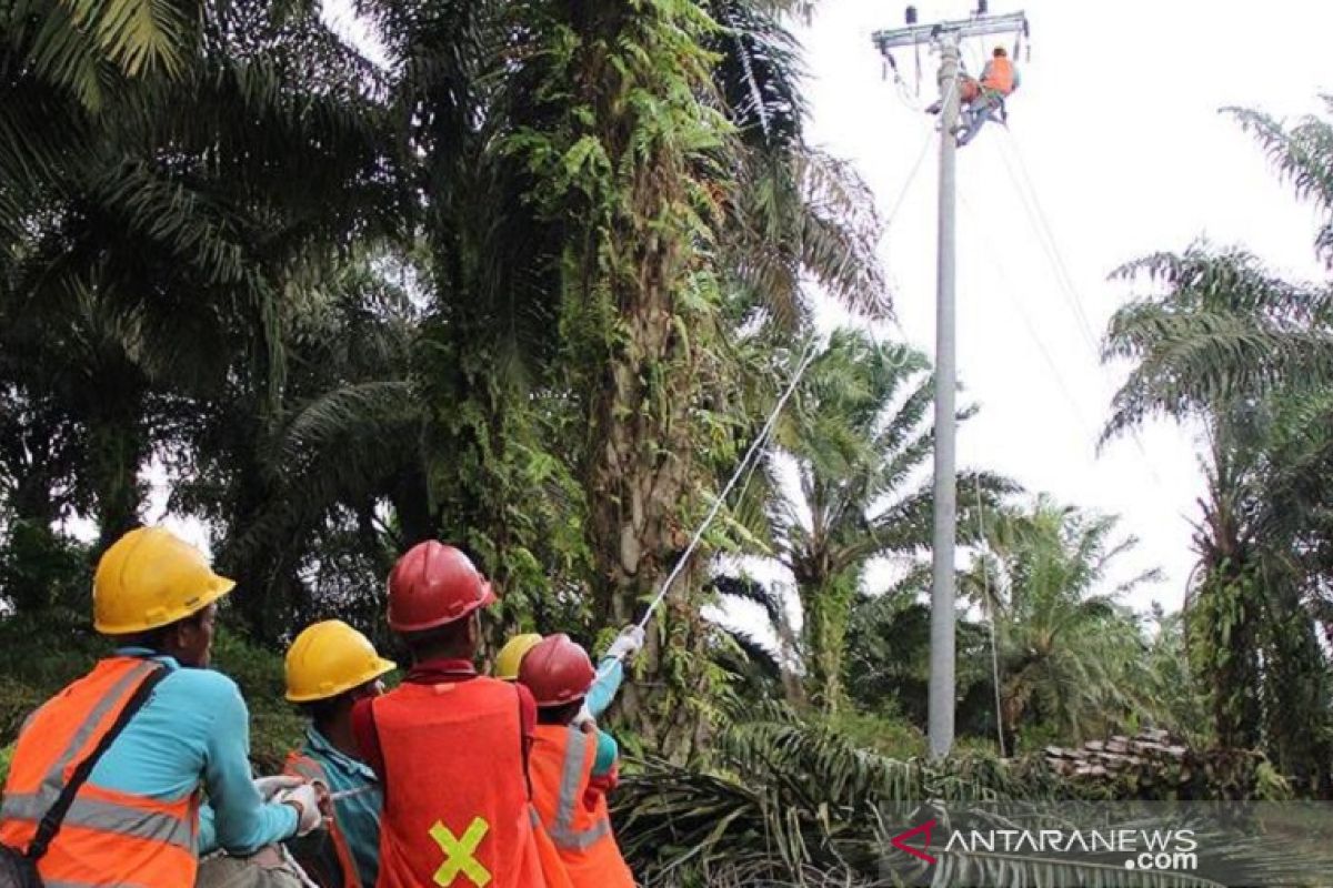 Masa Siaga COVID-19, PLN Riau lakukan pembangunan listrik desa